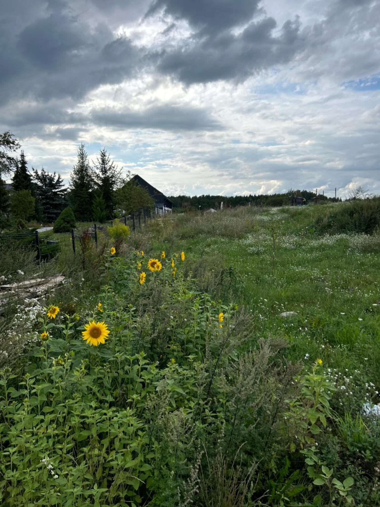 Mikołajki Nowa Stodola Koniec Swiata 아파트 외부 사진